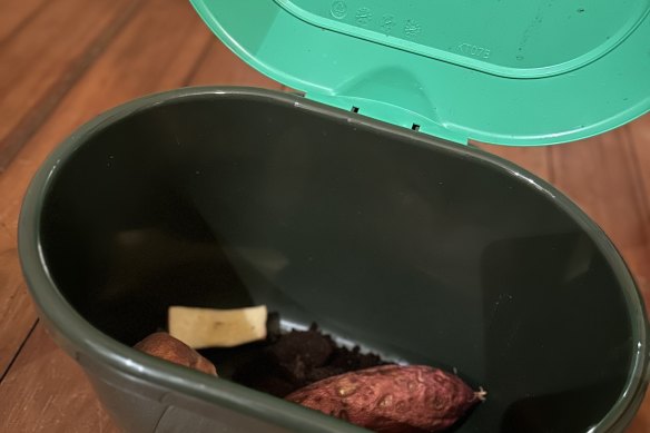 Behold, my food-waste-bin-of-shame, complete with sweet potato I forgot to turn into chips for my kids.