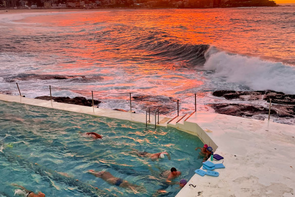 Documentary The Pool charts life at the Bondi Icebergs pool.