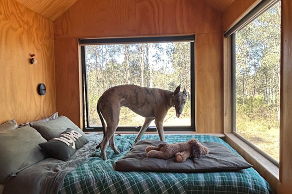 Junior getting settled into his holiday.