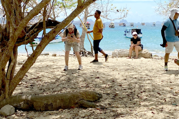 A dragon relaxes on the beach surrounded by tourists.