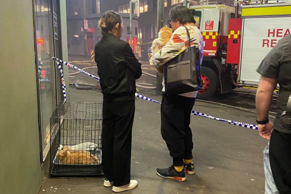 Nearby apartment owners rushed to rescue their pets as they evacuated the building. 