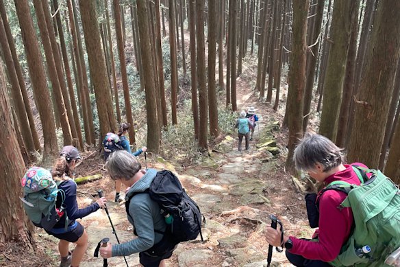 Rocky descent along the kodo bukano.