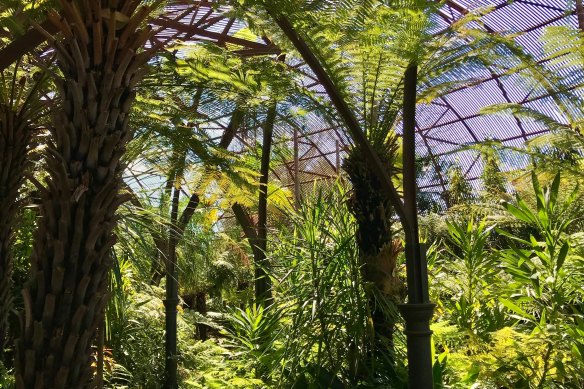 Australia's best example of a fernery is at Rippon Lea, in Elsternwick in Melbourne. 