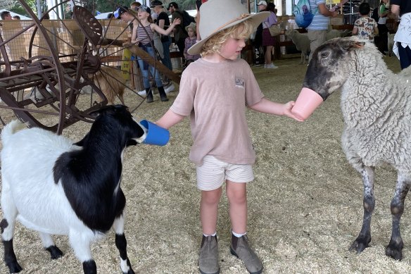 The boy’s safe space: the animal nursery.