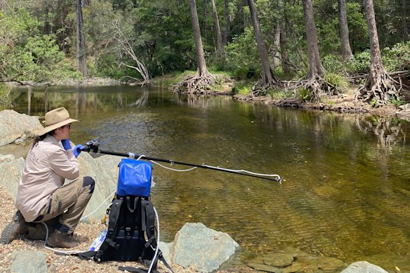 Brunt uses an eDNA backpack sampler.