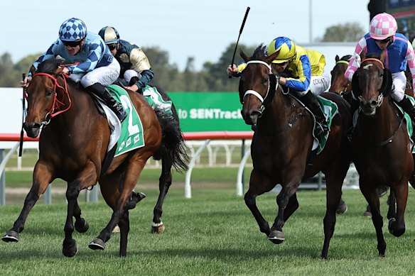 Racing returns to Kembla Grange on Tuesday.
