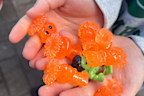 Families were able swap Ooshies and hopefully complete their collections on August 8.