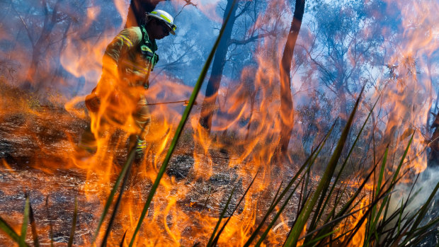 Scientists and the state government are divided over the DBCA’s prescribed burning program. 