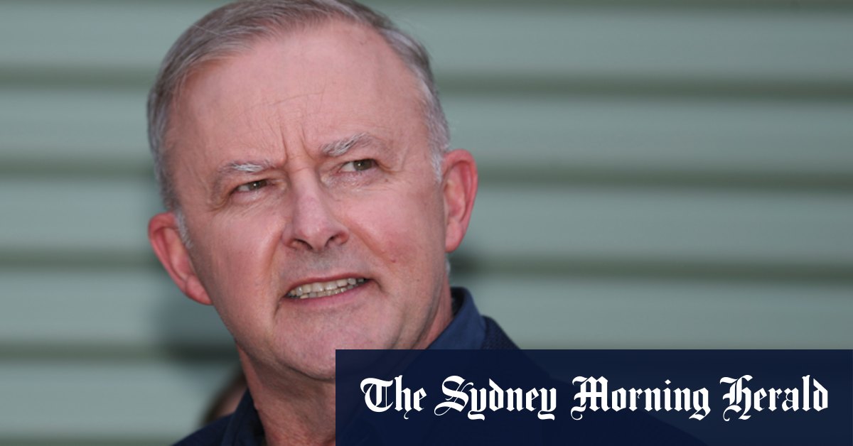 Anthony Albanese launches Labor's attempt to retain Gilmore - Vimarsana News