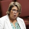 Senator Kerrynne Liddle says claims a failed Voice referendum would harm reconciliation are ‘outrageous’.