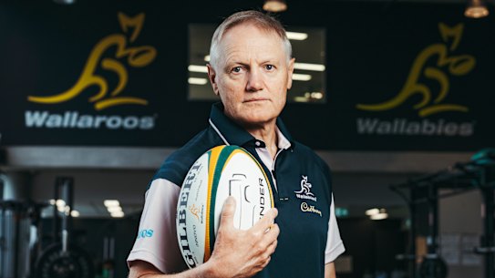 New Wallabies coach Joe Schmidt settles into life at Rugby Australia in Sydney.