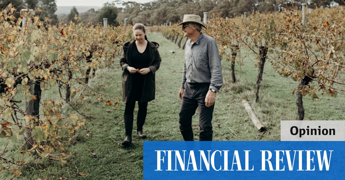 Western Australia's Margaret River winery Marri Wood Park makes a great chenin blanc wine thanks to the vision of winemaker Julian Wright - Vimarsana News