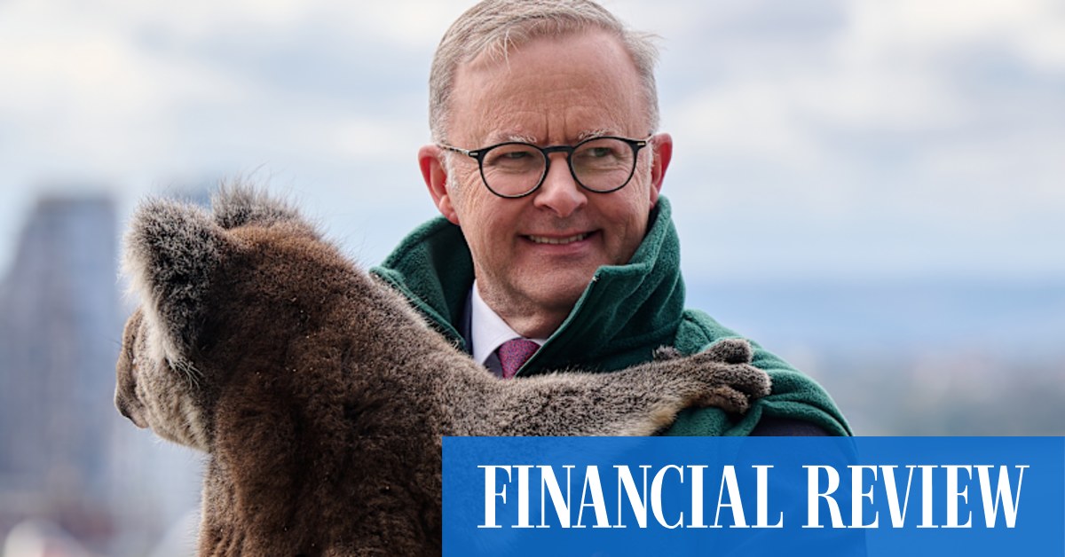 The Greens have promised to “wipe out” 40 per cent of the carbon credit market and drive up the cost of carbon pollution for Australia’s biggest industrial companies.