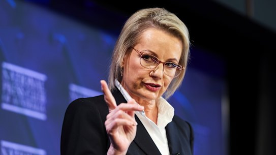 Sussan Ley at the National Press Club on Wednesday.