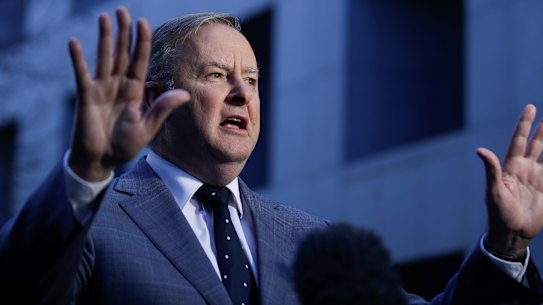 Federal Labor leader Anthony Albanese has been urged to conduct a wide-ranging review into branch stacking.