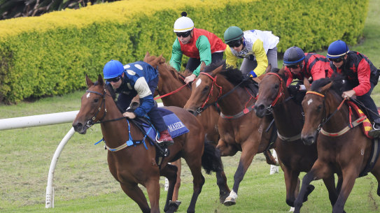 SYDNEY, AUSTRALIA - DECEMBER 07: Tommy Berry on Coolangatta wins heat 5 during barrier trials at Royal Randwick Racecourse on December 07, 2021 in Sydney, Australia. (Photo by Mark Evans/Getty Images) SYDNEY, AUSTRALIA - DECEMBER 07: Tommy Berry on Coolangatta wins heat 5 during barrier trials at Royal Randwick Racecourse on December 07, 2021 in Sydney, Australia. (Photo by Mark Evans/Getty Images)