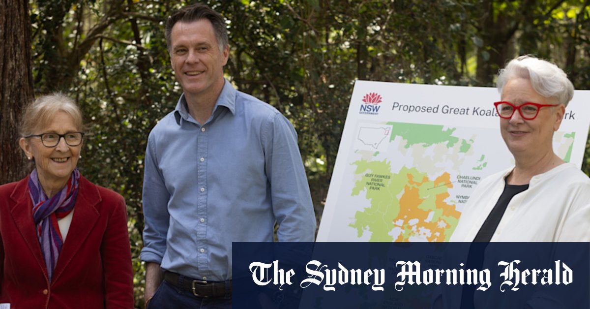 Three reasons Minns backed the full Great Koala National Park