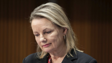 Environment Minister Sussan Ley has agreed not to take a decision on the Vickery coal project until after the full trial.