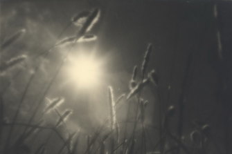"Grass at Sundown" by Olive  Cotton, taken in 1939. She said of the work that it created "a magical atmosphere".