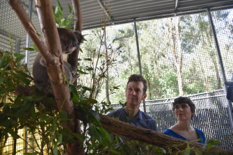 UQ Associate Professor Keith Chapel and Dr Michaela Blyton with one of the Currumbin Sanctuary koalas.