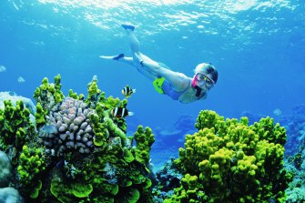 The Queensland government says it’s the international border closure that is crippling the state’s tourism industry, especially on the Great Barrier Reef.