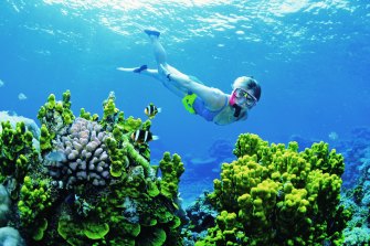 The Great Barrier Reef’s coral not only provides tourism value but a physical protection for the coastline. 
