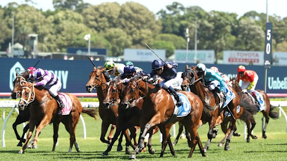 Race-by-race preview and tips for Taree on Friday