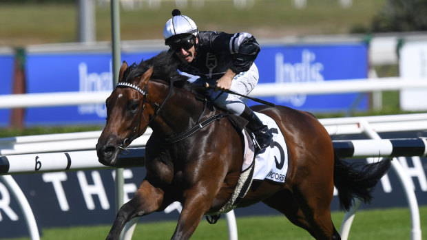 Everest climber:  Victorem takes out the Country Championships final at Randwick.