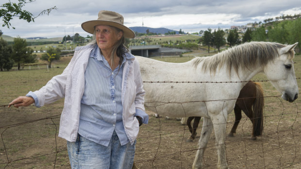 Celia Kneen has grazed horses or ponies on the block for 23 years.