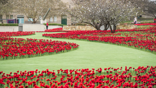Hand-crafted poppies on the grounds of the Australian War Memorial; Canberra's most reviewed and highest rated attraction on TripAdvisor.