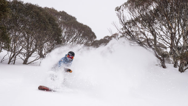 A snowboarder at Perisher kicks up some of the 40cm of snow that has fallen across NSW's alpine region since Monday.
