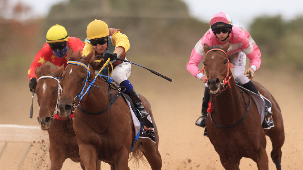 Clayton Gallagher will be aboard Memories at Muswellbrook on Sunday.