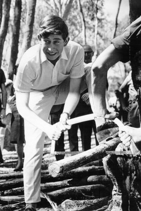 Charles cutting wood at Timbertop in 1966.