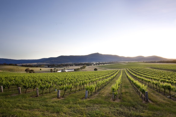 Mount Langi Ghiran Vineyards, The Grampians, Victoria.