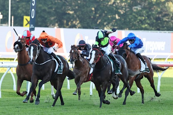 In Flight, right, edges out Brudenell in the Bob Charley AO Stakes at Randwick last year.