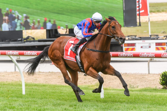 Garza Blanca smashed the Cranbourne 1200m track record.