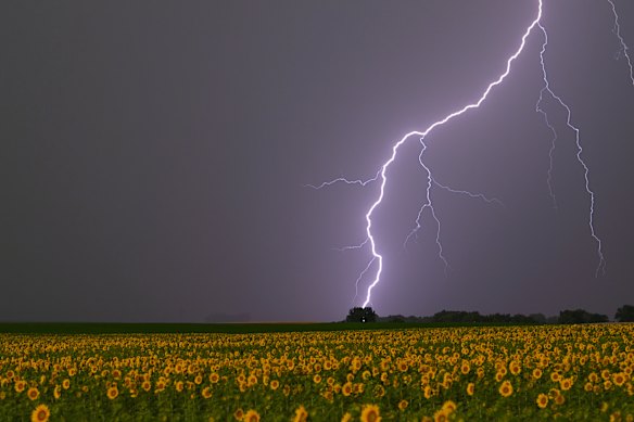 Lightning naturally splits N2 and allows it to be “fixed” in soil and used by plants.