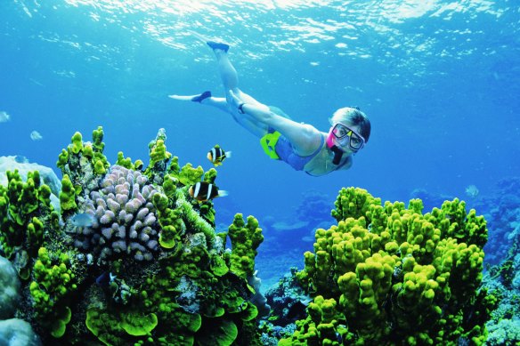 The Great Barrier Reef’s coral not only provides tourism value but a physical protection for the coastline. 