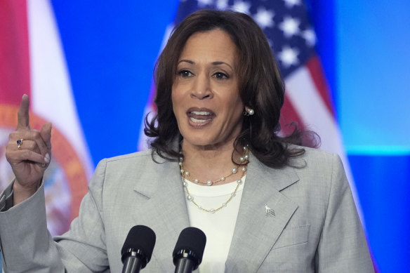Vice President Kamala Harris: could she step into Biden’s shoes now?