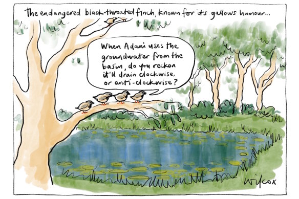 Illustration: Cathy Wilcox