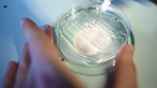 UNSW scientists have used CRISPR gene editing technology to discover why some people with the mutation for sickle cell disease never get it.