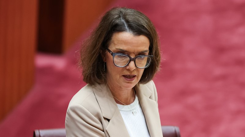 Report alleges government ignored findings on impact of scrapping over-65 private health rebate