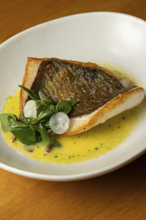 John Dory, masterstock, seaherbs and pickled turnip.