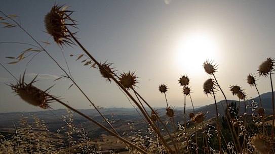 Dry vegetation in Petralia Soprana in Sicily, Italy, on Friday, when the island smashed the Continent’s heat record.