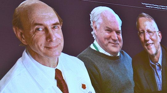 Nobel prize in medicine