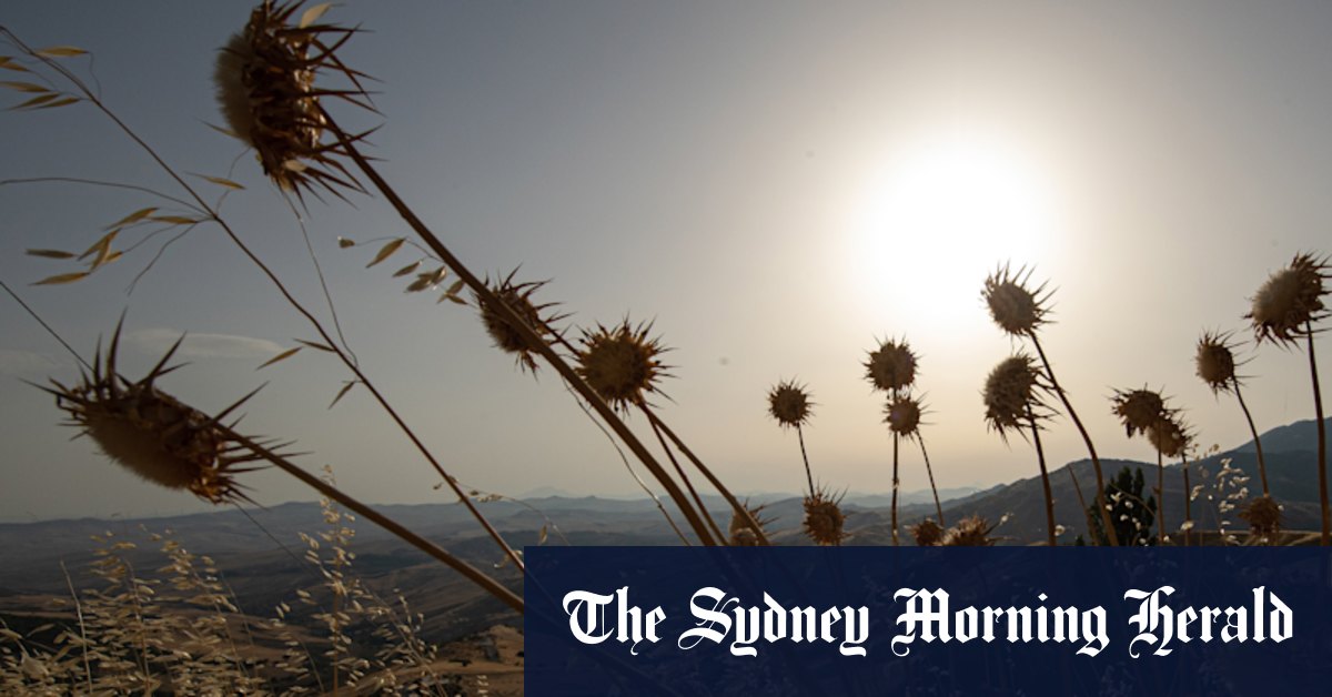 Penny drops for BCA, but Coalition still stalls on climate - Vimarsana News