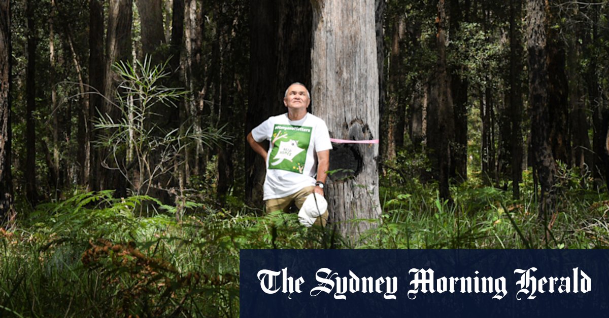 The fight to save a wildlife 'ark' from a 'Porpoise Spit' development - Vimarsana News