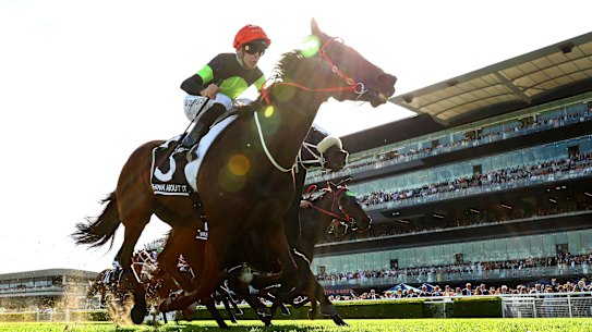 Should the term of Racing NSW chair Russell Balding be extended?