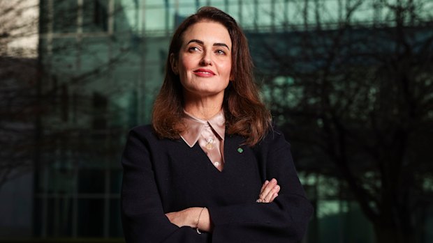 New member for Dickson, Ali France, said Anthony Albanese had backed her for years.