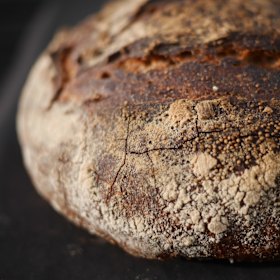 Sourdough loaf.
